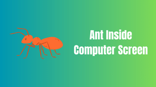screen with ant